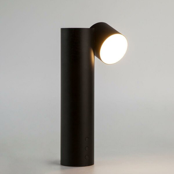 Настольная лампа Eurosvet Premier 80425/1 черный — Дзинь ля-ля